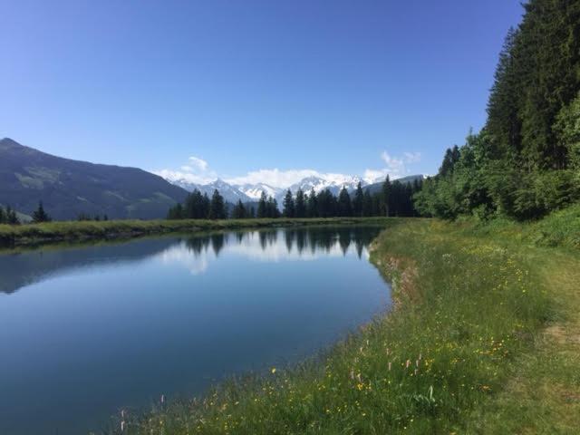 约赫贝格Residenz Am Berg公寓 外观 照片