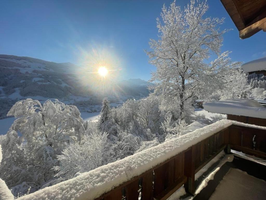 约赫贝格Residenz Am Berg公寓 外观 照片